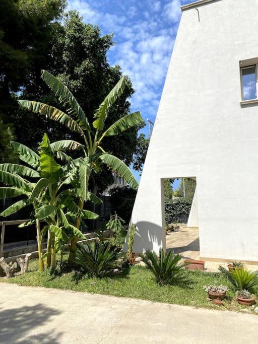 شقة Casa Woow كاريني المظهر الخارجي الصورة