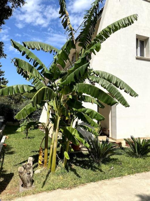 شقة Casa Woow كاريني المظهر الخارجي الصورة